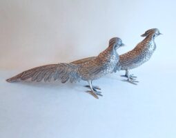 Pair of Spanish silver pheasants